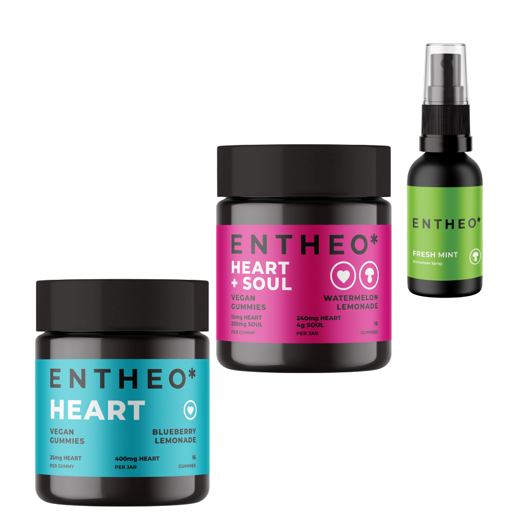 fan favorites bundle sale