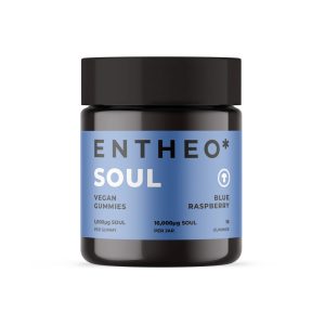 Entheo Blue Raspberry Vegan Soul Blend Gummies