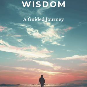 cultivating wisdom: awaken vitality through microdosing e book